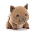 Swinley Boar