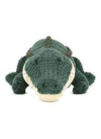 Allexi Alligator